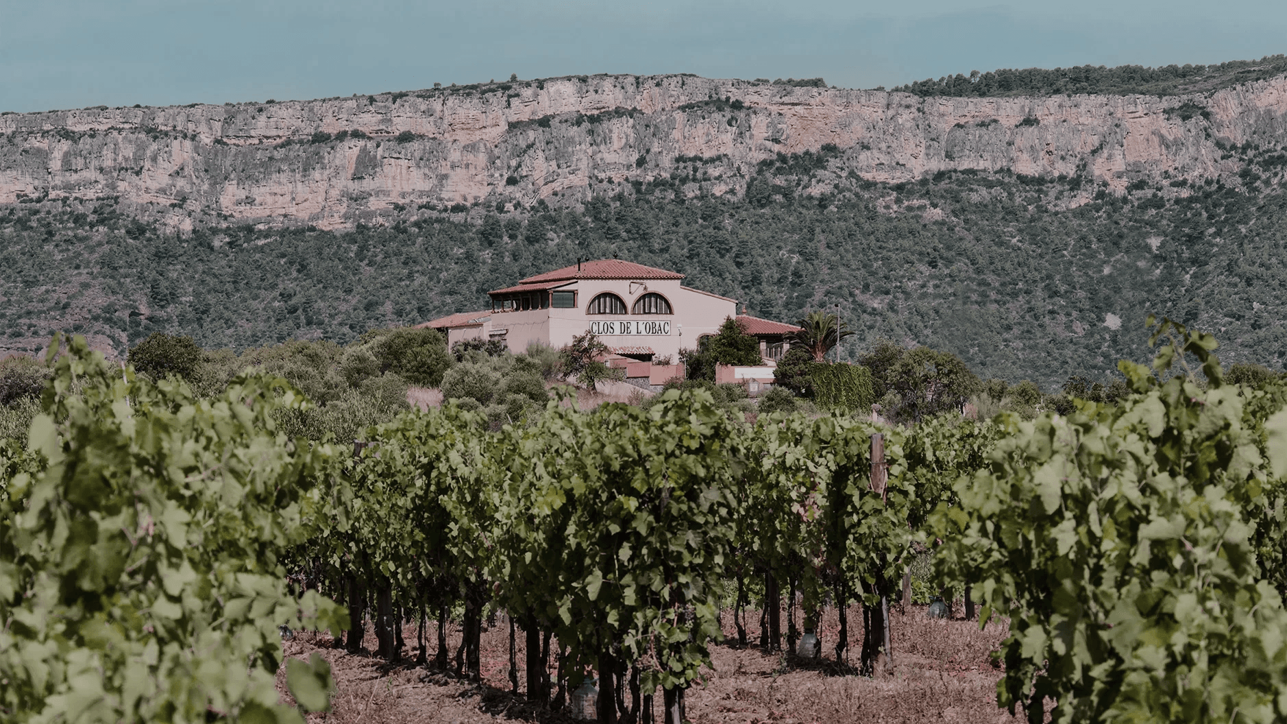 Costers del Siurana